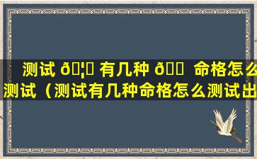 测试 🦊 有几种 🐠 命格怎么测试（测试有几种命格怎么测试出来）